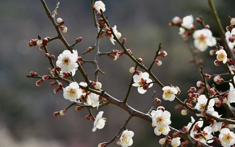 芤��R�g������˶�F��]�d�n���n�I�q������ϳ}�~�\�