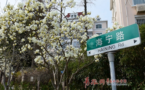 ��G���G��o�q�暖芤��R���ô�����o�e˵�s玉兰�a����