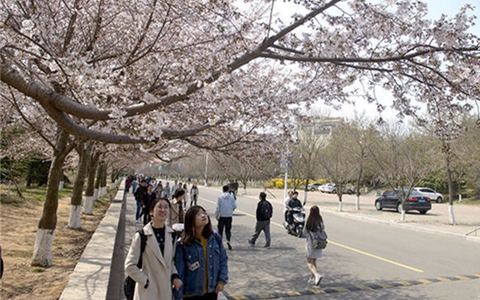 �eϴ�����o�G�崂���렡�ѯM����G���s�@�s���\��