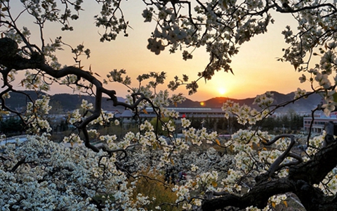 �X�˥_�G�����ɢ���G������s���\��