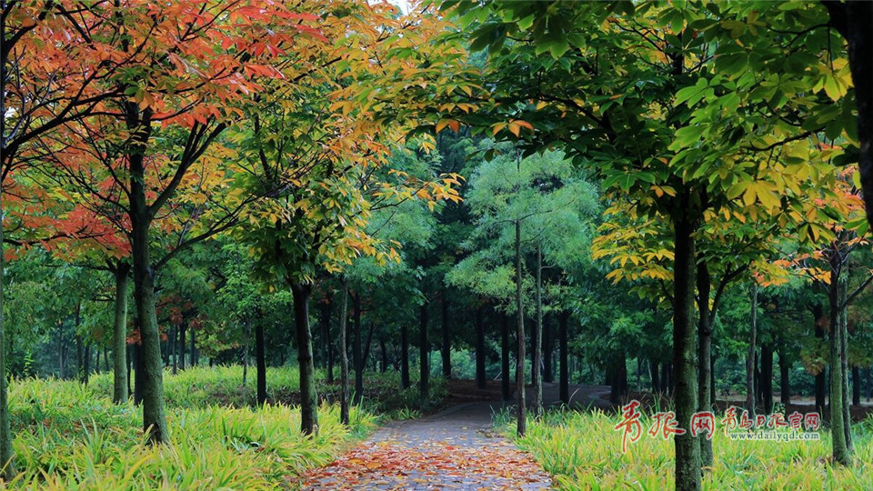 ���D�L��B��圭i�����^����Q��դ���Y�ω����̠��{η�]���ٸ����锻��