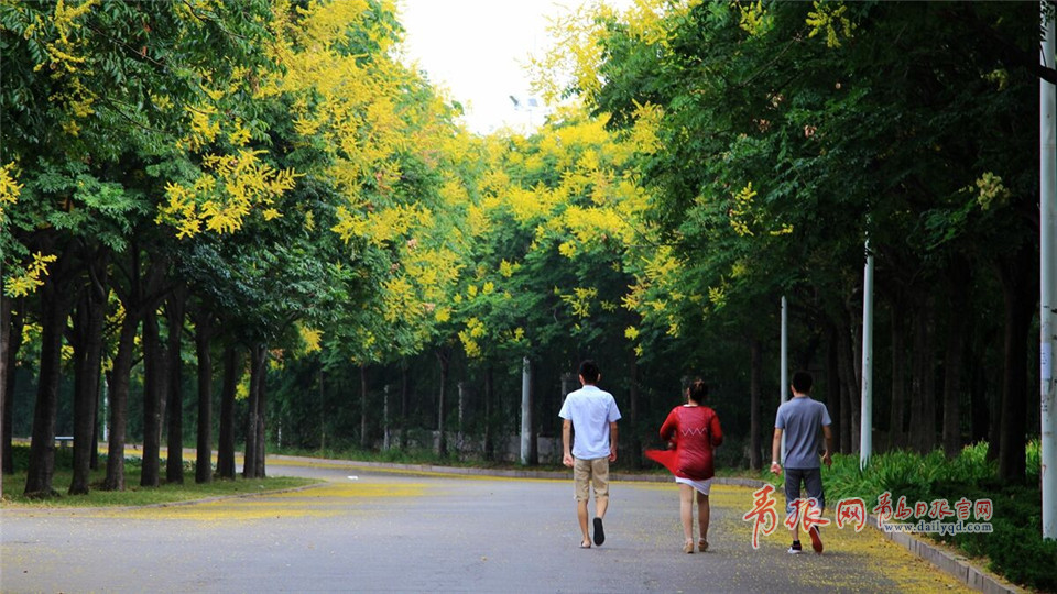 ���D�L��B��圭i�����^����Q��դ���Y�ω����̠��{η�]���ٸ����锻��