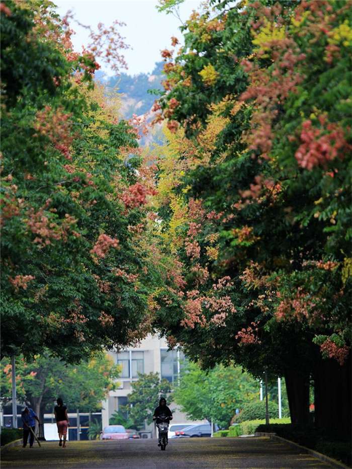 ���D�L��B��圭i�����^����Q��դ���Y�ω����̠��{η�]���ٸ����锻��