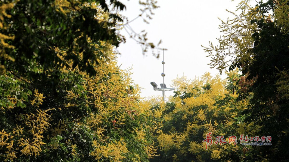 ���D�L��B��圭i�����^����Q��դ���Y�ω����̠��{η�]���ٸ����锻��