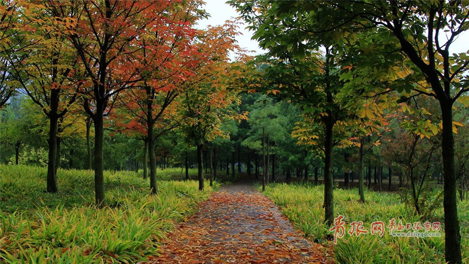 ���D�L��B��圭i�����^����Q��դ���Y�ω����̠��{η�]���ٸ����锻��