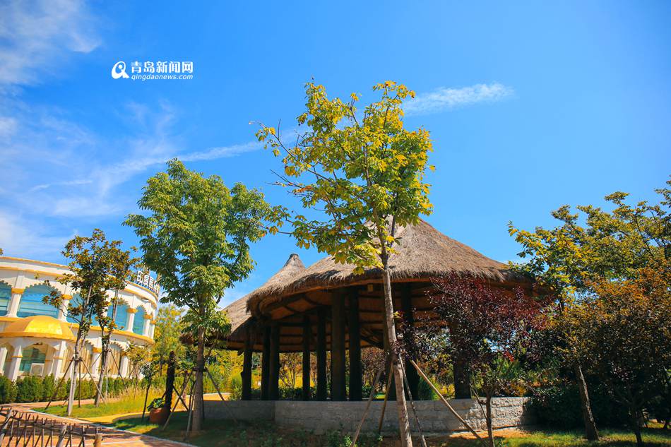 ����ͧ��r�J�Y�]�d��ة������^ 艴����c������������r��{η�P