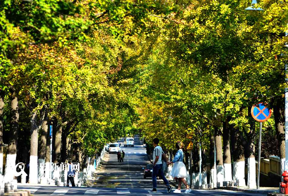 ����ͧ����s�V�岛�η�V�{�u��杏小�Ȅ �ħ天�d�D�v�\������