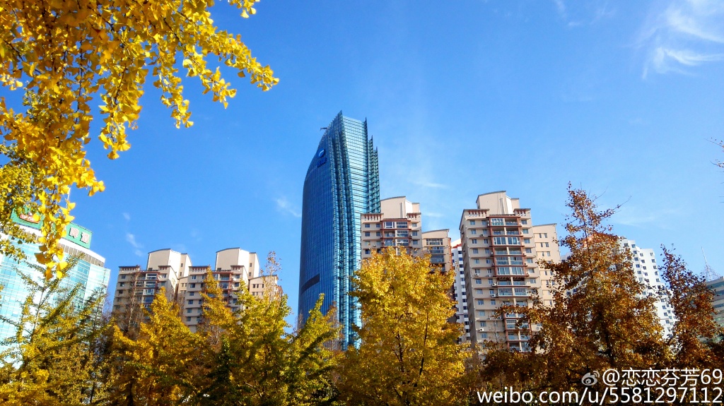 ��t���ʞ��S�H�x�ƫ�� ��դ���`�⤴�H�띏�d�������s�o����