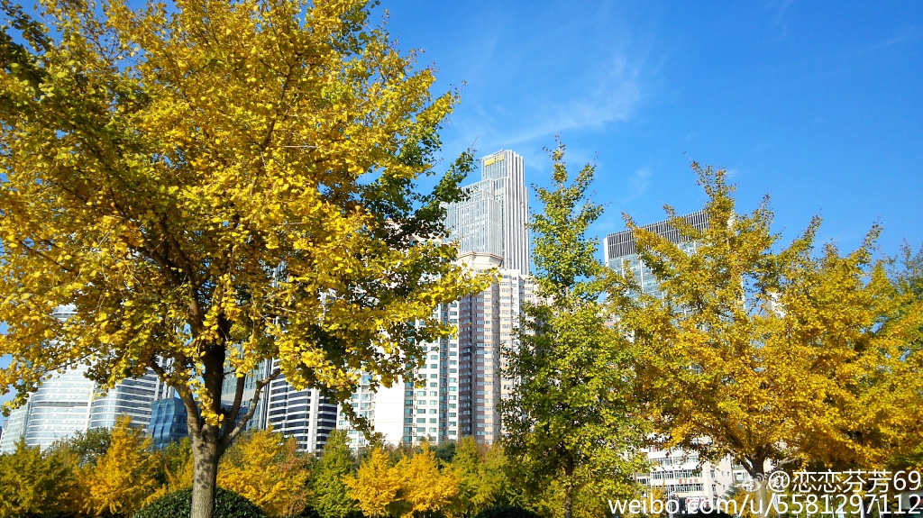 ��t���ʞ��S�H�x�ƫ�� ��դ���`�⤴�H�띏�d�������s�o����