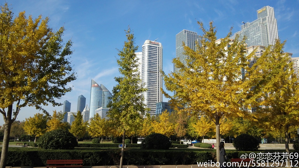 ��t���ʞ��S�H�x�ƫ�� ��դ���`�⤴�H�띏�d�������s�o����