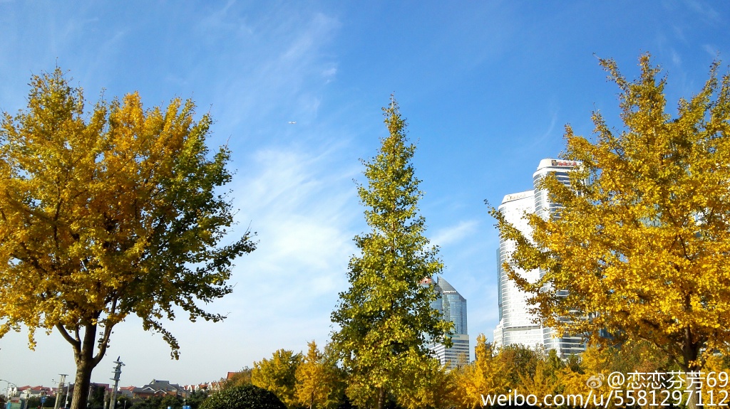 ��t���ʞ��S�H�x�ƫ�� ��դ���`�⤴�H�띏�d�������s�o����