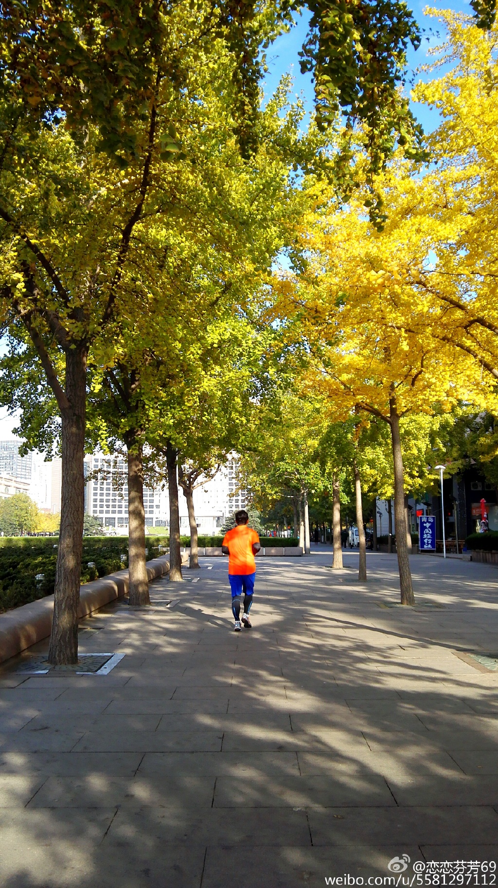 ��t���ʞ��S�H�x�ƫ�� ��դ���`�⤴�H�띏�d�������s�o����