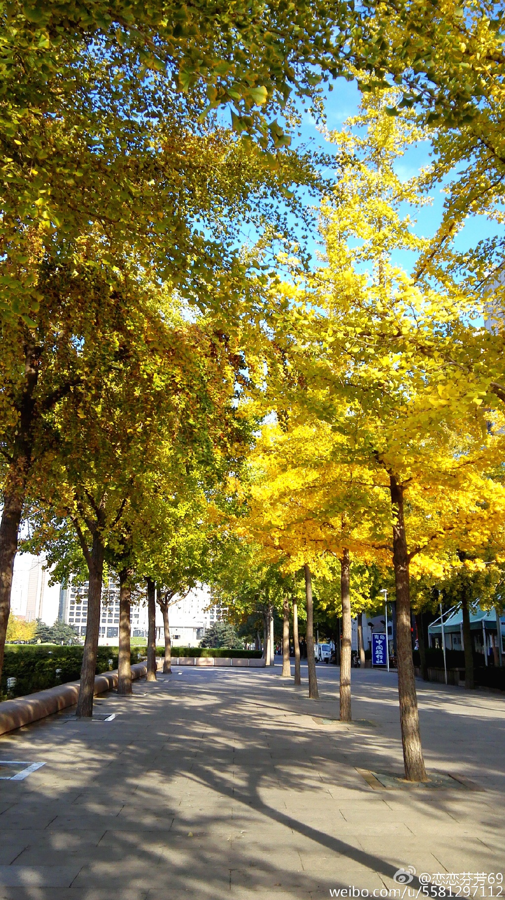 ��t���ʞ��S�H�x�ƫ�� ��դ���`�⤴�H�띏�d�������s�o����