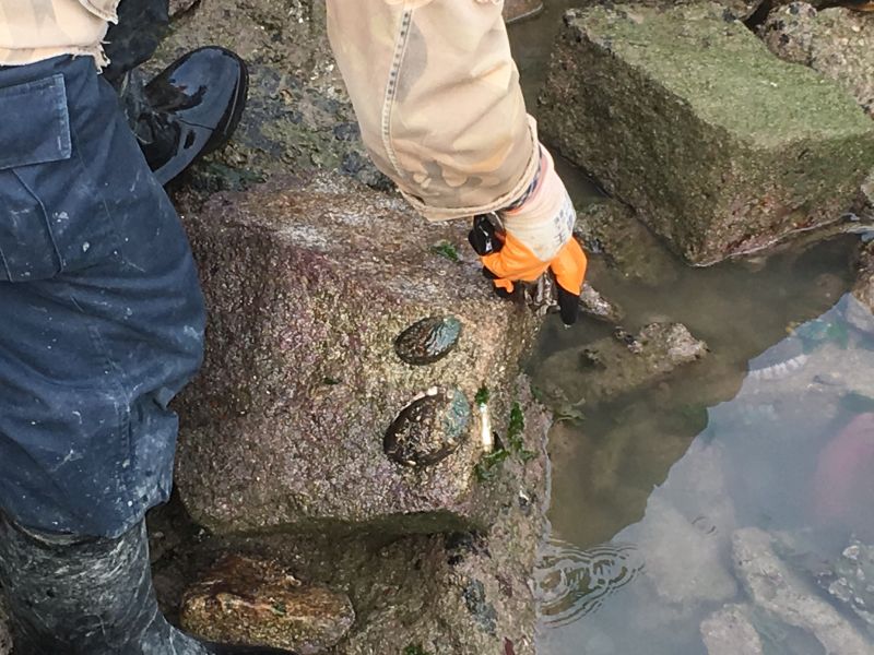 ��᫩b�s�k�X�s� �eϴ���U���u捕捞��᫩b�㣹�^�ы