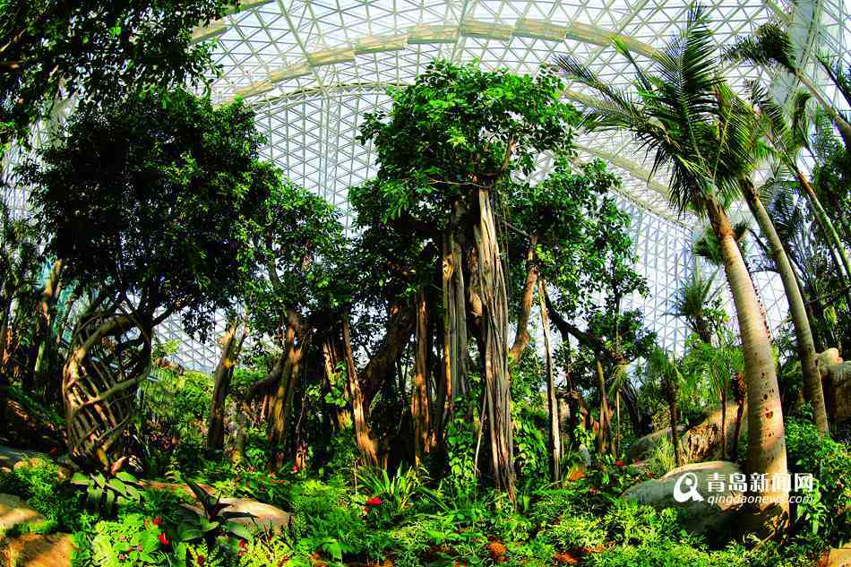 ��F�����������g���q� �D�C�H���|�f���������⛽��η��