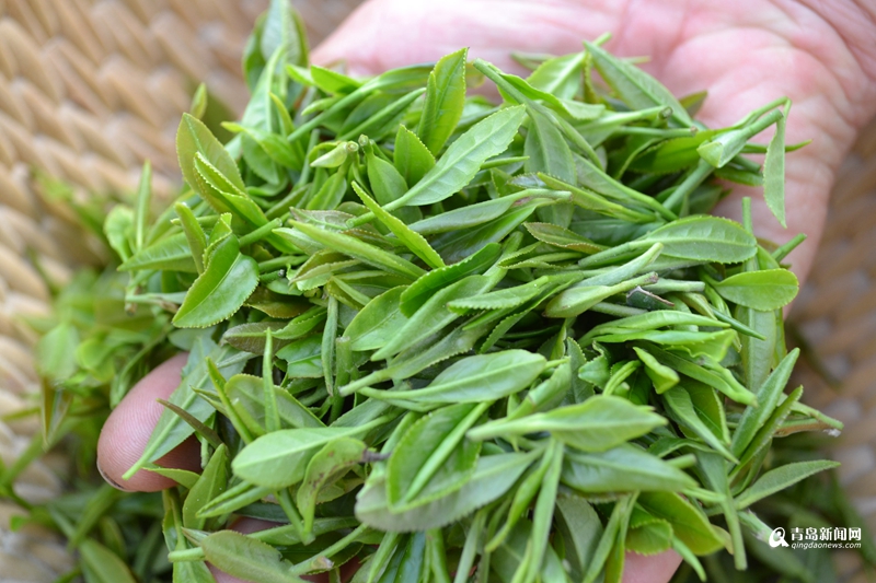 �G�R���X�˥_�r���R������摘 �G��ݼ�r�k�g�����J5��ة��