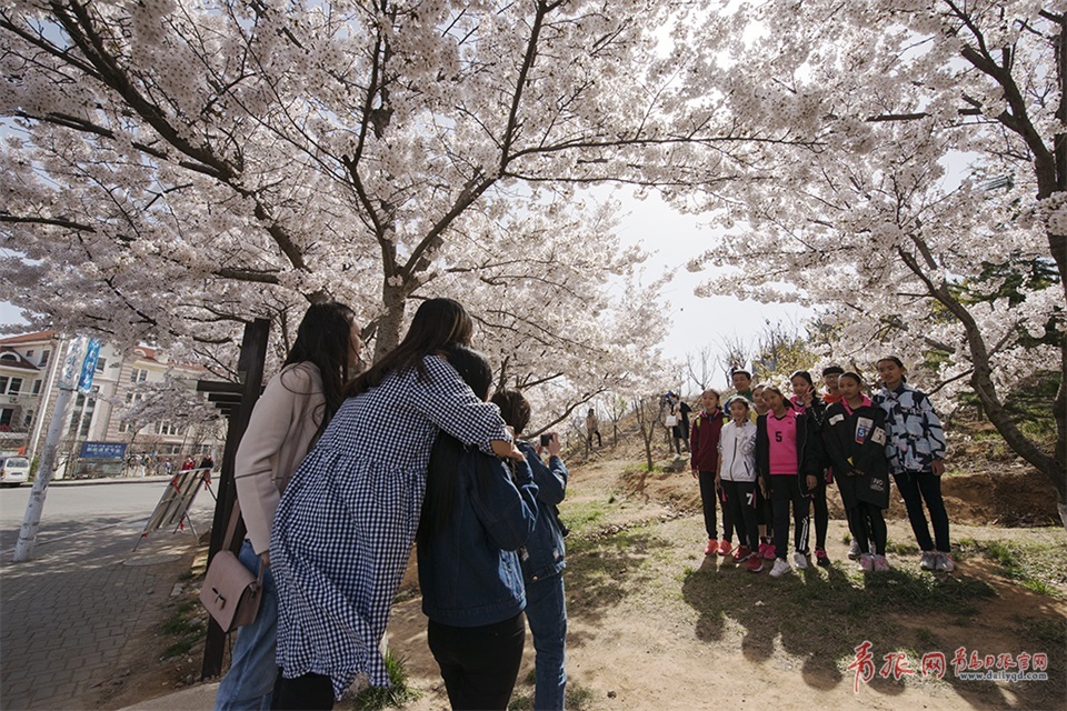 ���d���_�W���G����d�������s�o�|�q�s� �����s芿�o��ᬾ��g�t��