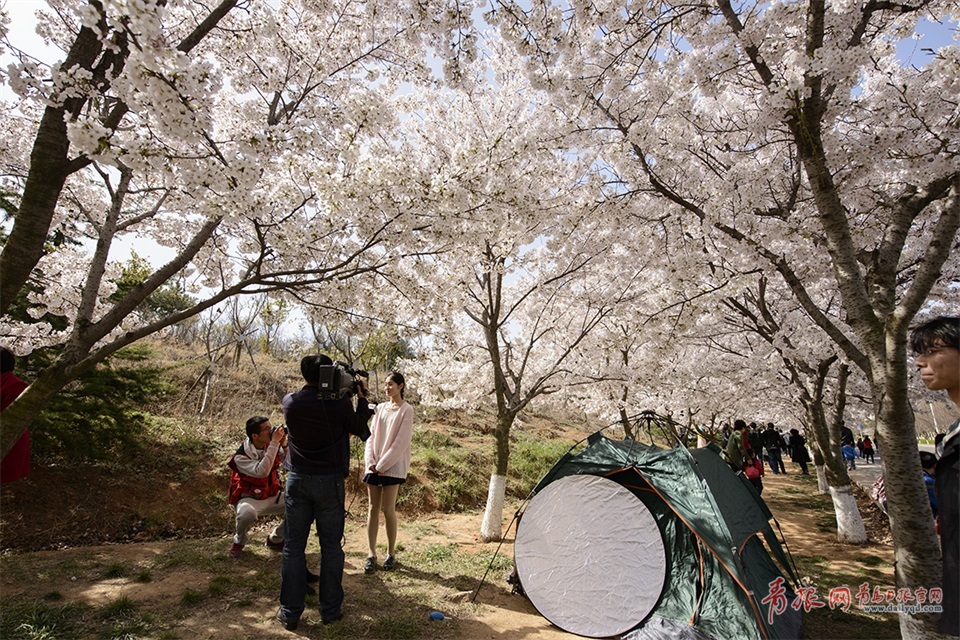 ���d���_�W���G����d�������s�o�|�q�s� �����s芿�o��ᬾ��g�t��