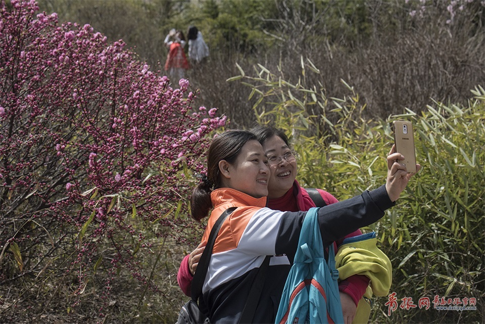 ���d���_�W���G����d�������s�o�|�q�s� �����s芿�o��ᬾ��g�t��