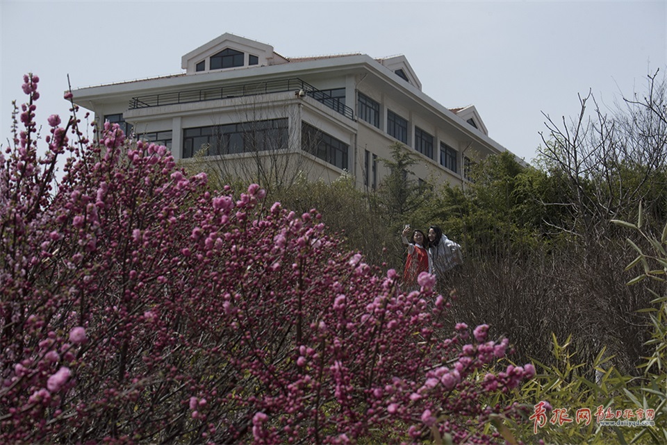 ���d���_�W���G����d�������s�o�|�q�s� �����s芿�o��ᬾ��g�t��