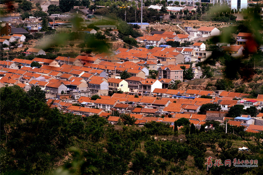 �X�˥_���Ⲧ���B恹{���G��������� ������������o��`���