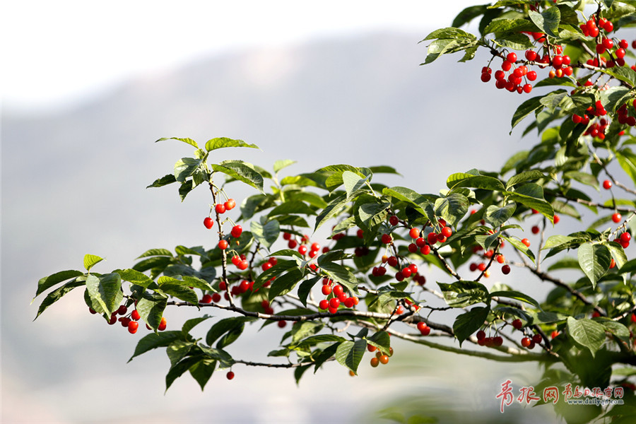 �X�˥_���Ⲧ���B恹{���G��������� ������������o��`���