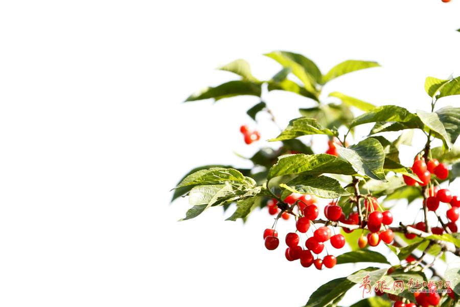 �X�˥_���Ⲧ���B恹{���G��������� ������������o��`���