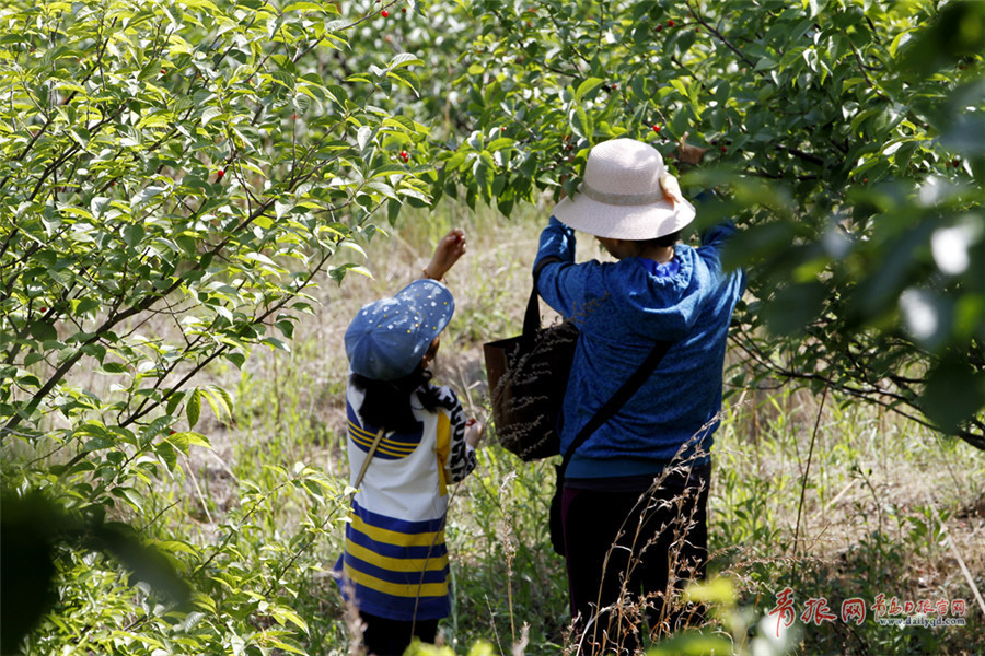 �X�˥_���Ⲧ���B恹{���G��������� ������������o��`���