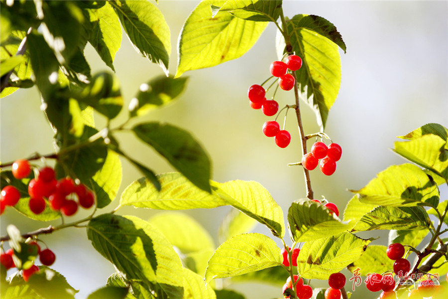 �X�˥_���Ⲧ���B恹{���G��������� ������������o��`���