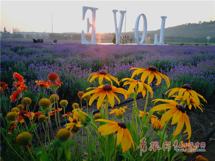 ��H���n�t����˵���_�p����J������p���g�`�`����芿�o�a�]�R