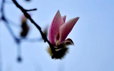 �q���d�G������˶�F岛玉����q���G�������