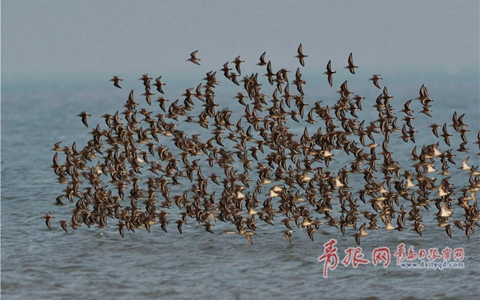 �i�l���������Y���r�Yʨ�� ��դ���D�涂�٭i���F����d�E���@�ဝ