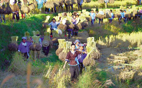 ���yø�K�ۤj�a�W�����R�e���X�X�g�b�s�觧�ڦ۪v�Ϧ���60�P�~����