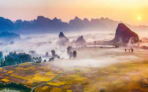 �W�L���ƭ���