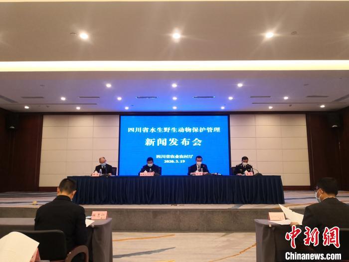 �|�t���T���ͳ��Ͱʪ��O�@�S���Y��H�u�c�|�f��޲z