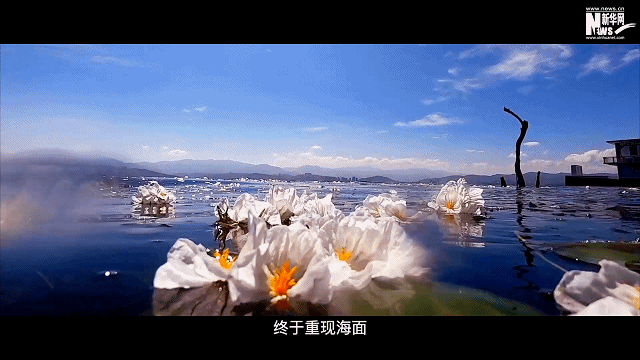 �ìP���ҡA���m�����n�����A�@��