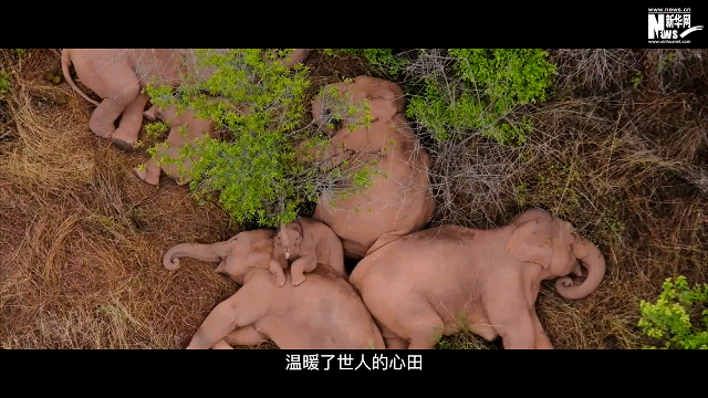 �ìP���ҡA���m�����n�����A�@��