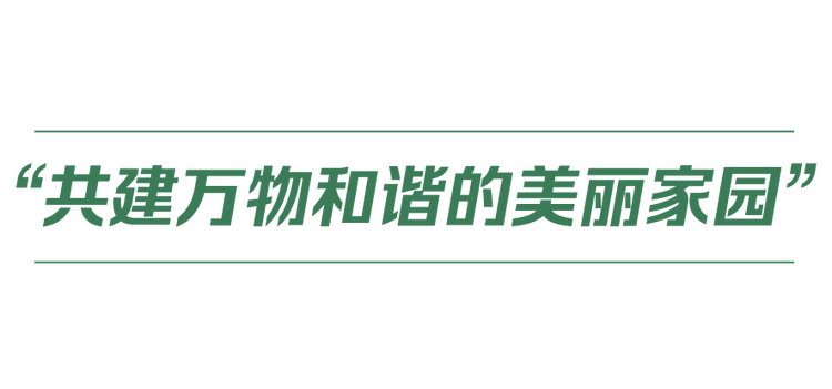 ꦡ{N丨HP۵MMӦ@
