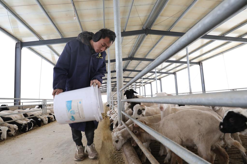 �s�إ��C+ح���ϭ����P�I�O