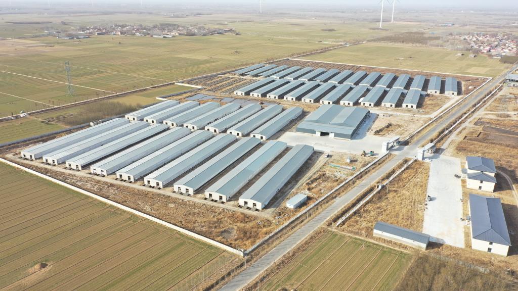 �s�إ��C+ح���ϭ����P�I�O