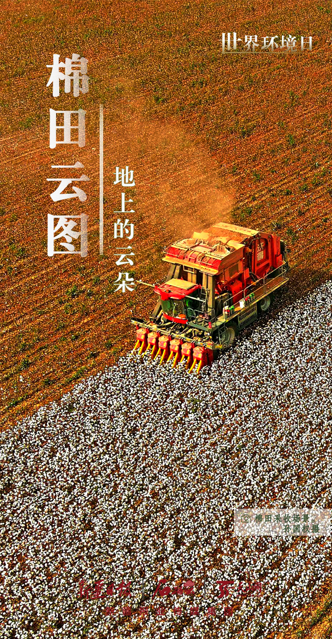 @Ҥ丨ݷsæ⡨