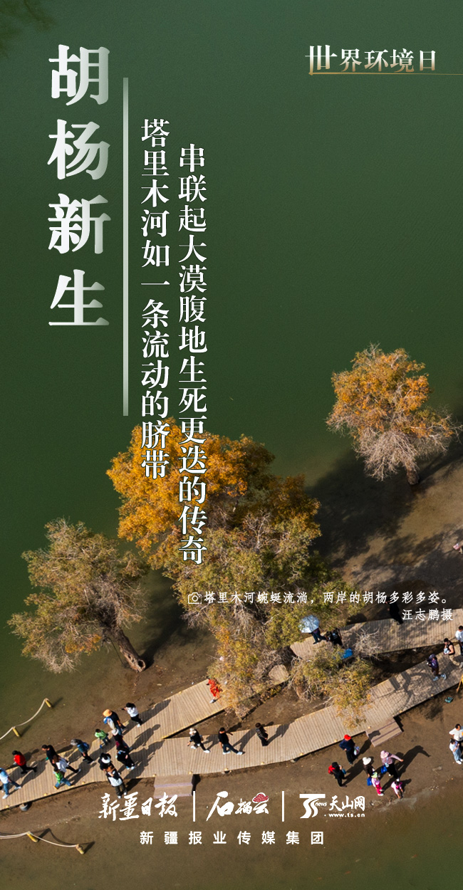 @Ҥ丨ݷsæ⡨