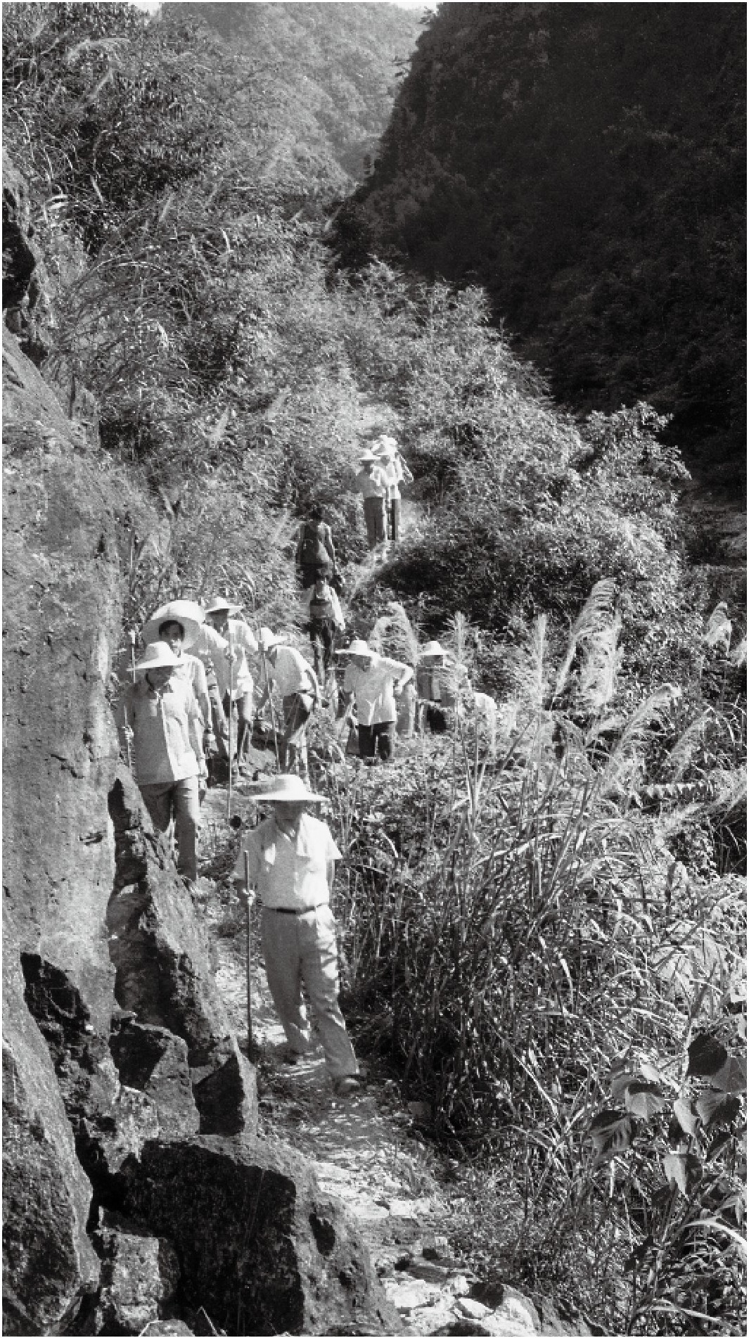 1989�~7��A�ߪ񥭤@���ع翤�U�Ҷm�լ�C