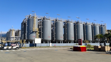 2025�~����u�~�W�ҥH�W���~�W�[�ȦP��W��8.2%