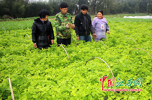 1��6��A�E�t���_�������w�������Шq�~�����Q�ئb�ж����m�˶Ǳº޲z�ص�޳N�C�ڱx�A�ӿ�200�h�W���Шq�~�����g�M�a���A�Q�ιA���ɸ`�������A�`�J�ж��a�Y�A���m�˶i��{���޳N���ɡC�q�T��