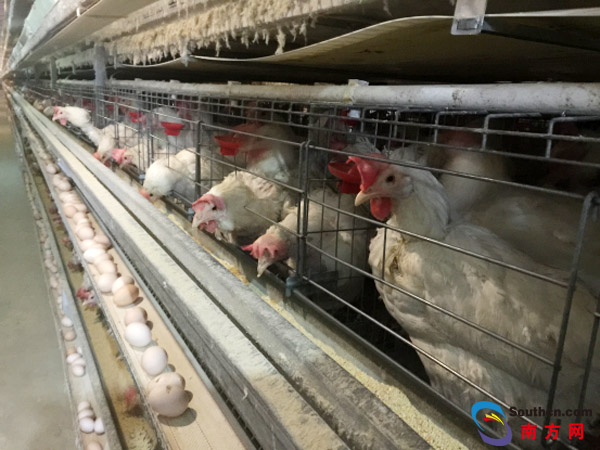 �Ϭ��Q�{�ٲ��`���C�P���ϼ��Է����������������i���� �n��� �����Y ��