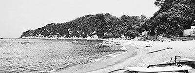 wqGcسu顨