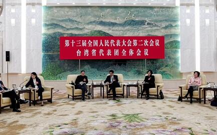 【融融看兩會】臺灣省代表團：臺灣同胞感受到了大陸的真情實意