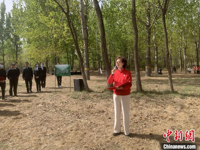 �Ϭ�����F��`�e�B�O�������ƥD�u�d��حP��C�@���{�� ��