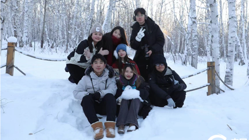 �i���O�C���R���W���X�j�j�@�����B���P���v�������A�ɻ⧧���p��������_æ